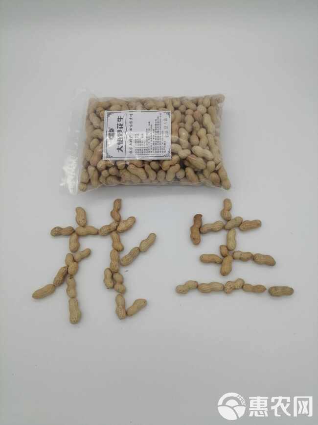 湖北特产农家炒花生500g袋装材火铁锅炒熟的花生果香酥脆