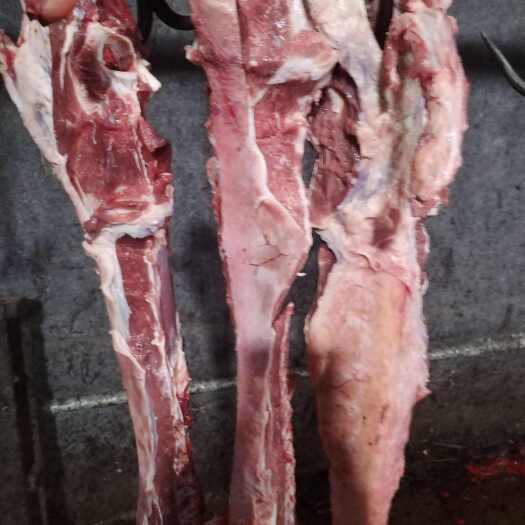 东营多肉羊脊骨