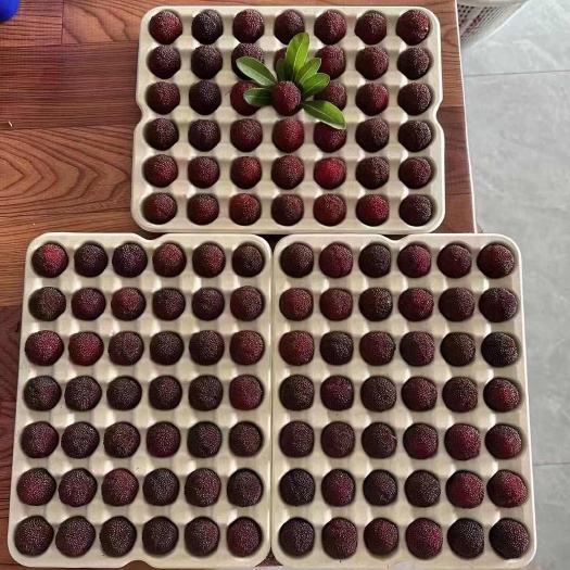 荸荠杨梅