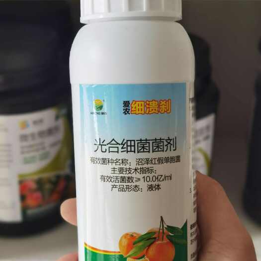 永兴县光合菌剂，生物菌剂