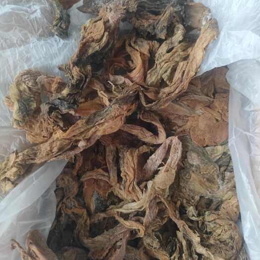 普宁市咸味芥菜干苞心梅菜干腌制干菜天然日晒