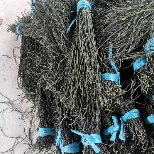单县精品干豆角大量上市，口感好，