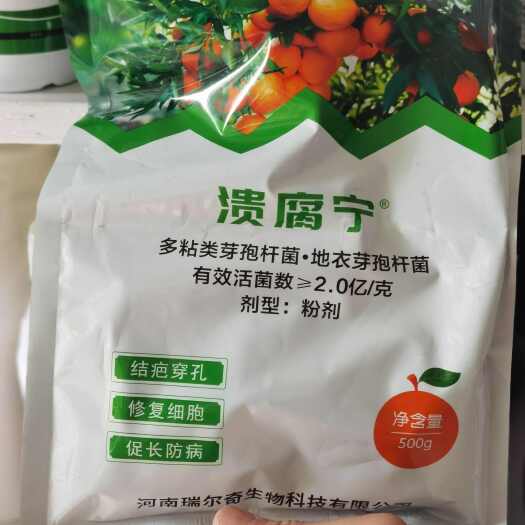 永兴县溃腐宁，多粘类芽孢杆菌，地衣芽孢杆菌