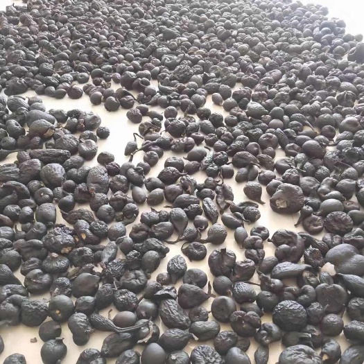 乐业县深山乌灵参干货