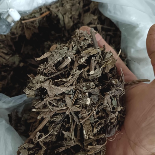 溪黄草