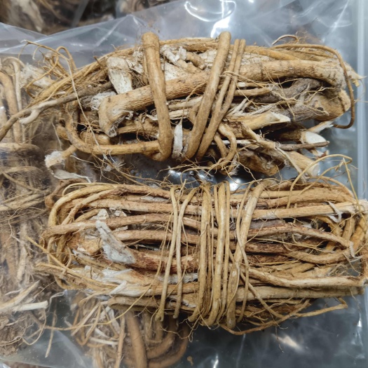 清远五指毛桃