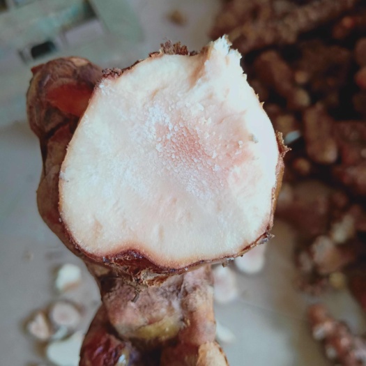怀集县广东肇庆本地土茯苓，一手货源，！