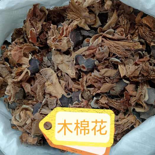 木棉花