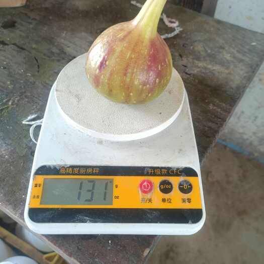 广州新鲜无花果！自产自销，欲购