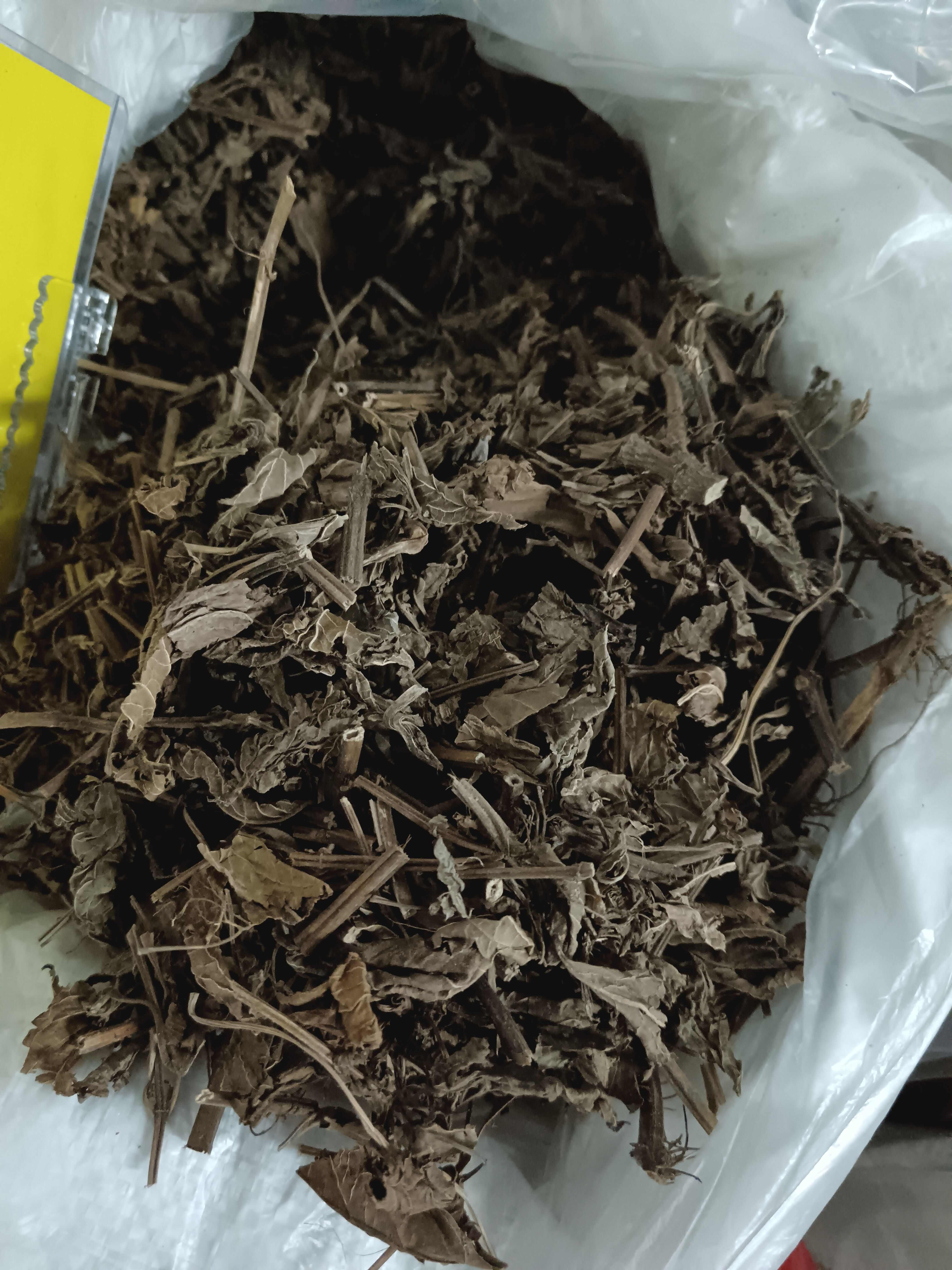 溪黄草