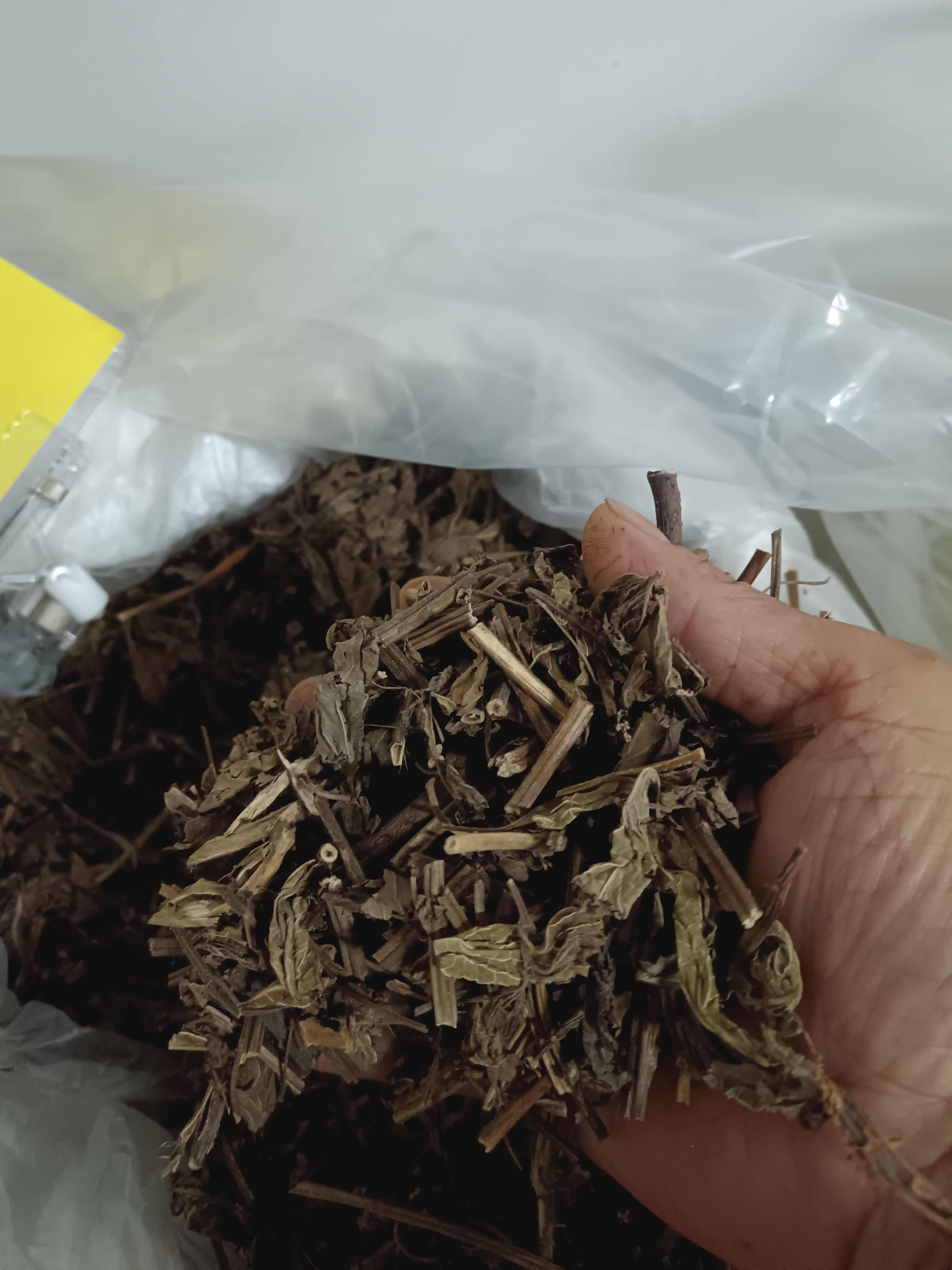 溪黄草