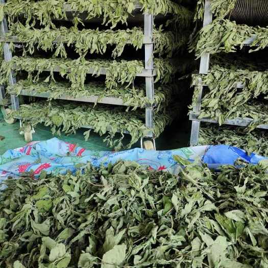 太和县烘干薄荷，精品，保证质量。