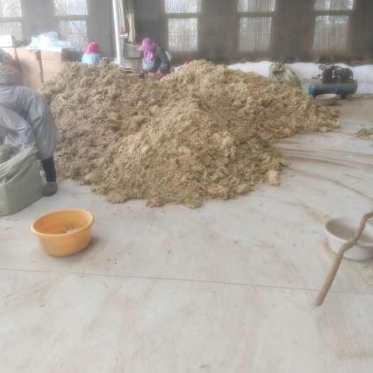 都匀市干水苔