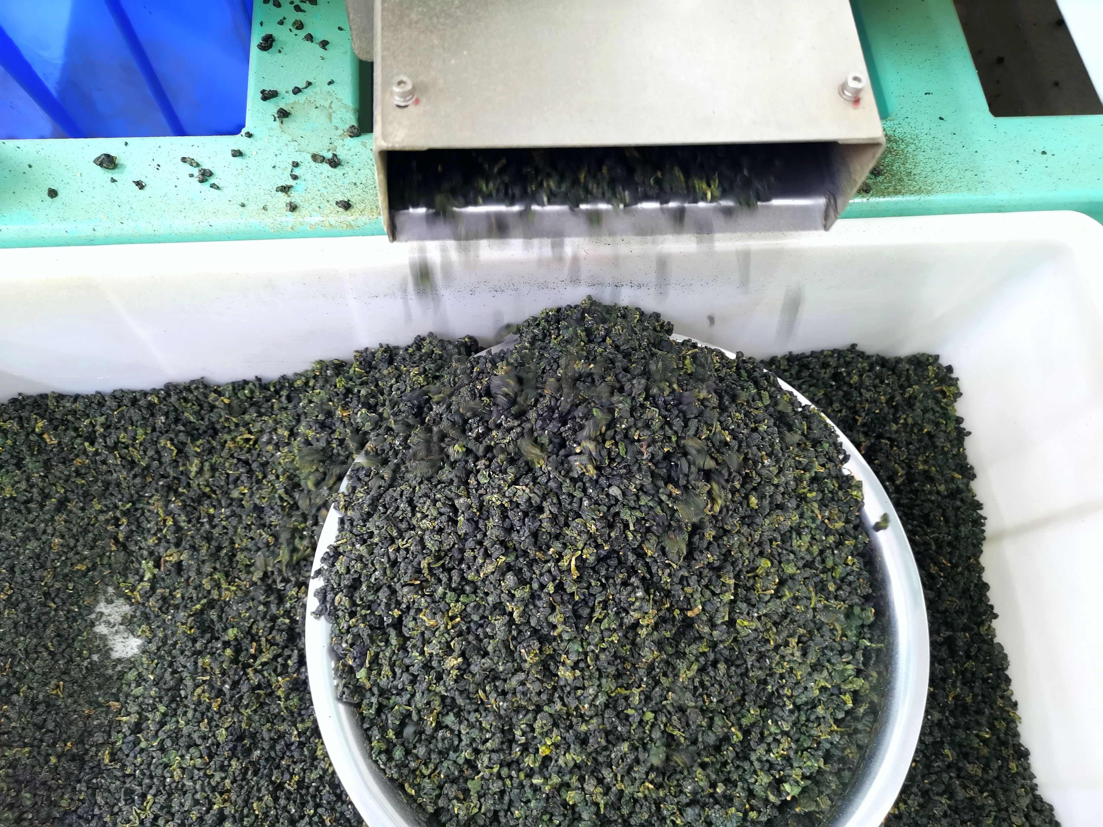 乌龙茶台式清香乌龙茶
