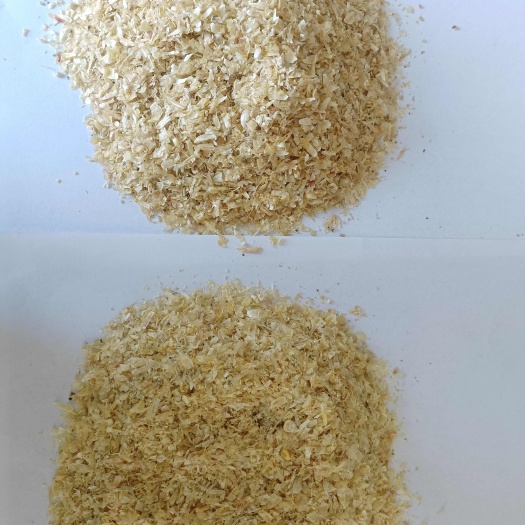 石家庄大片玉米大白皮