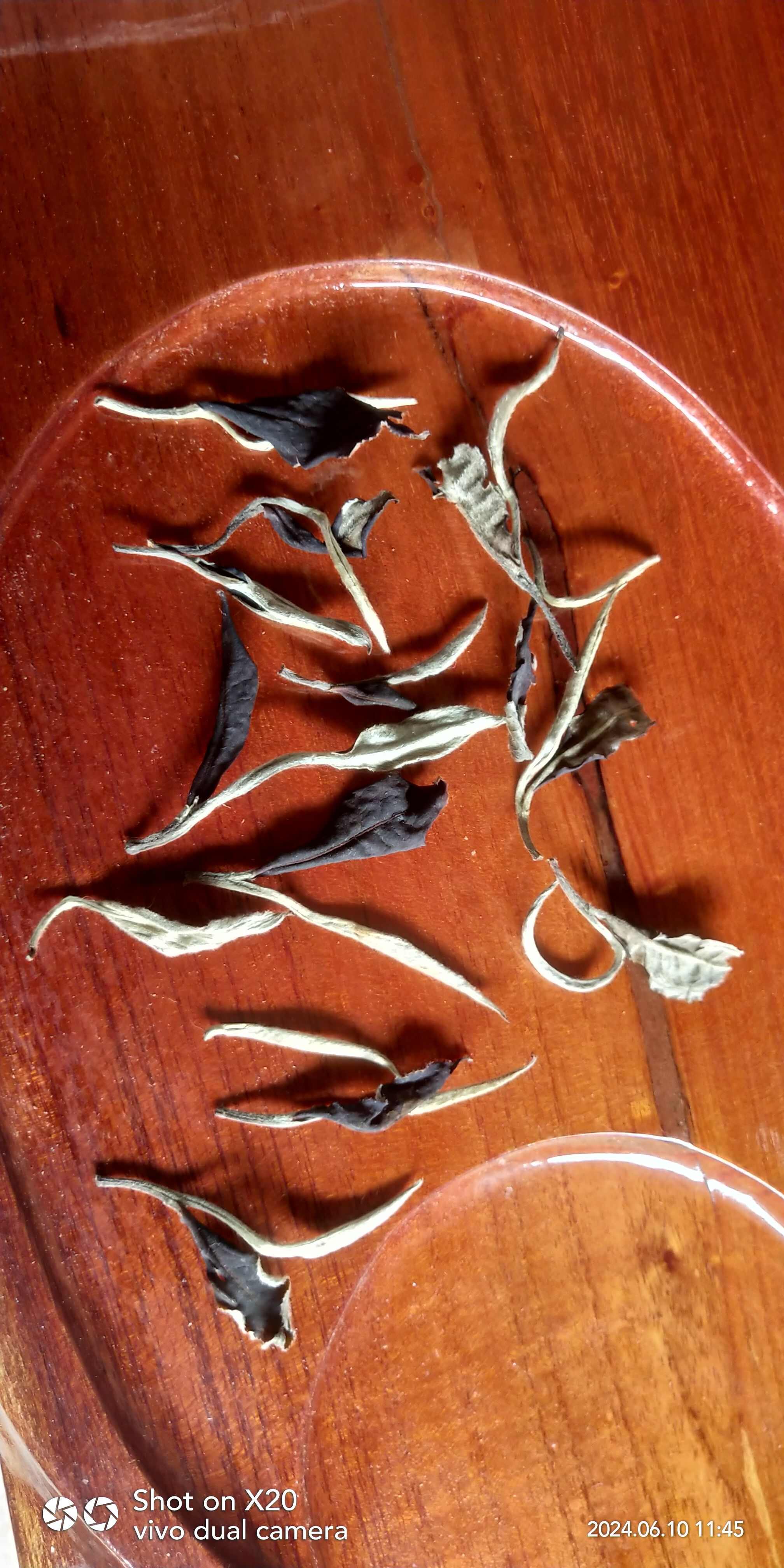 茶几大板实木无拼接，原木纹原木色，现货现发，
