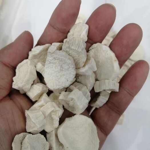 博野县山药片基地直发
