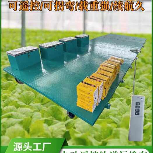 嘉祥县大棚果园轨道运输车平板车电动手动一体蔬菜农场货运运输