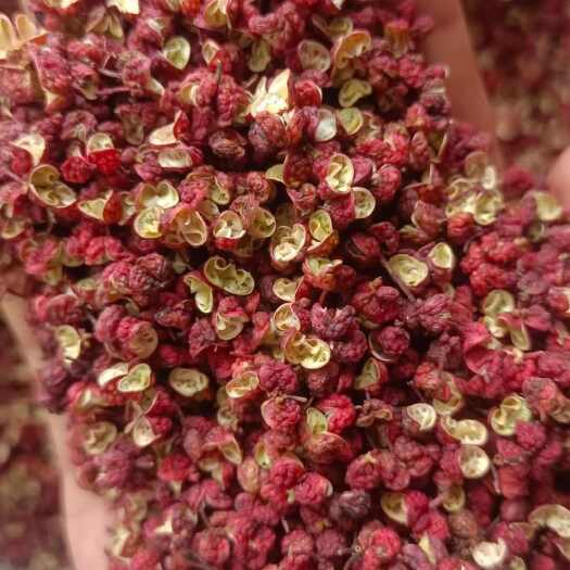 陇南大红袍花椒  陇南武都花椒