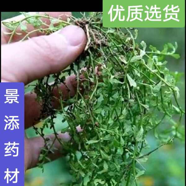 【原生原色】鹅不食胡荽鹅，新鲜采摘，自然晾晒，精选品质