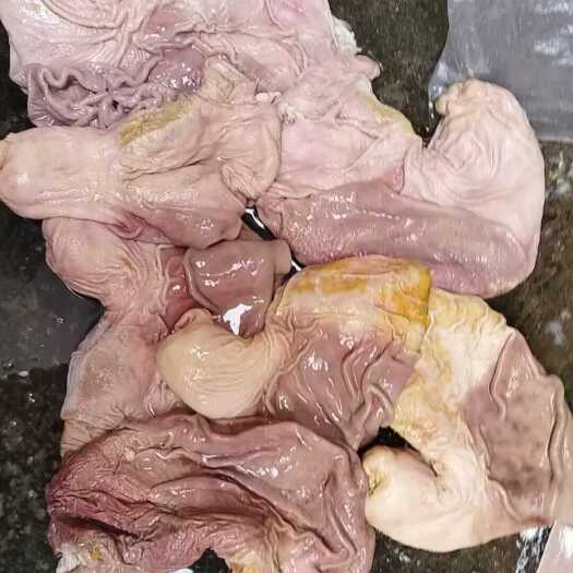 长沙猪肚