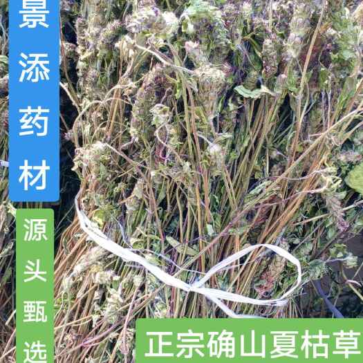 【一手货源】夏枯草青棵全草 当年新货 自然晾晒 无农残