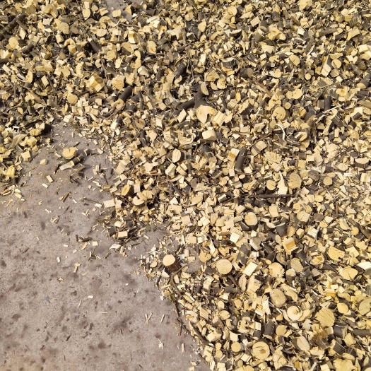 当阳市苦木片大量现货