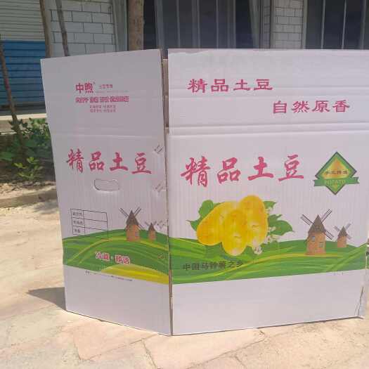 滨州质量杠杠滴