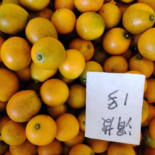 融安县融安滑皮金桔  脆蜜金桔