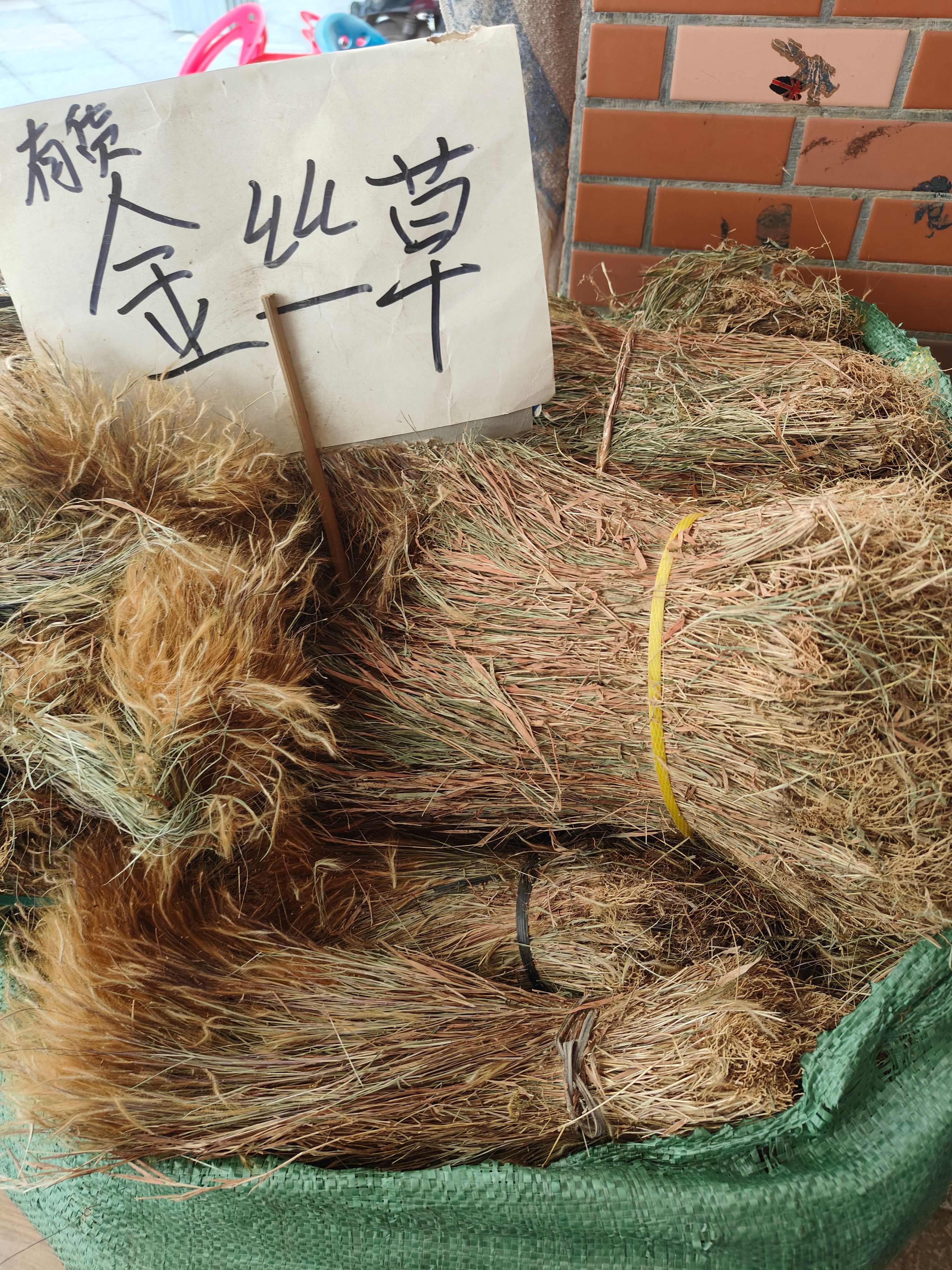 金丝草别名毛毛草笔仔草中草药干货黄毛干货实拍图