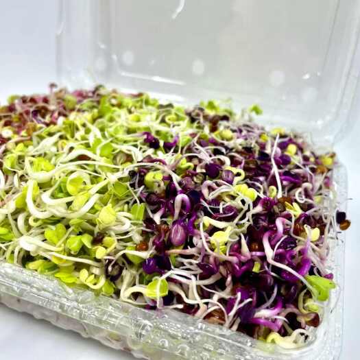  萝卜芽