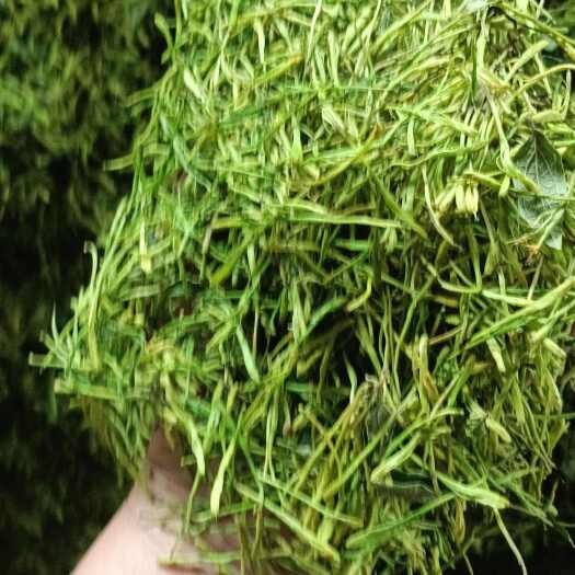 成都山银花