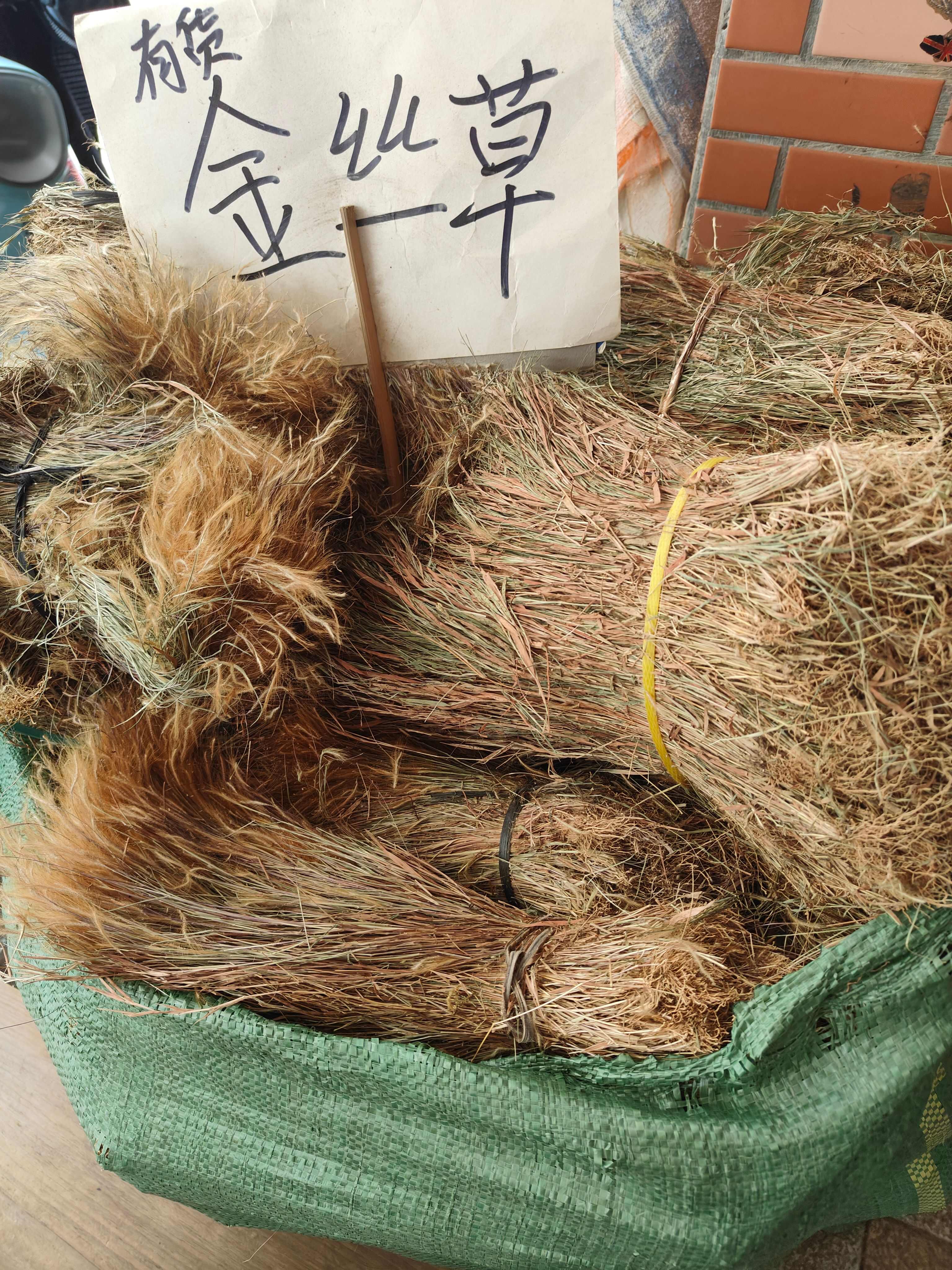 金丝草别名毛毛草笔仔草中草药干货黄毛干货实拍图