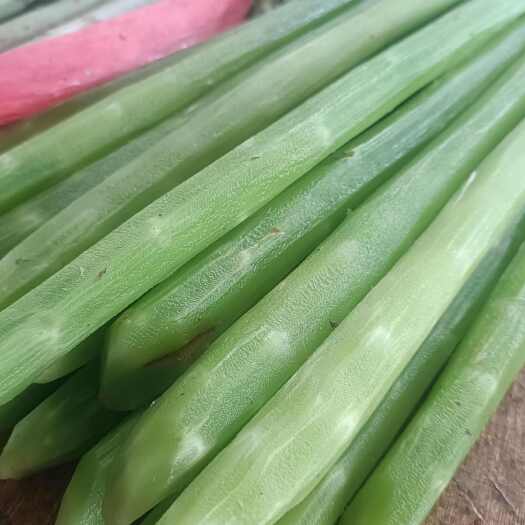 德江县优质贡菜