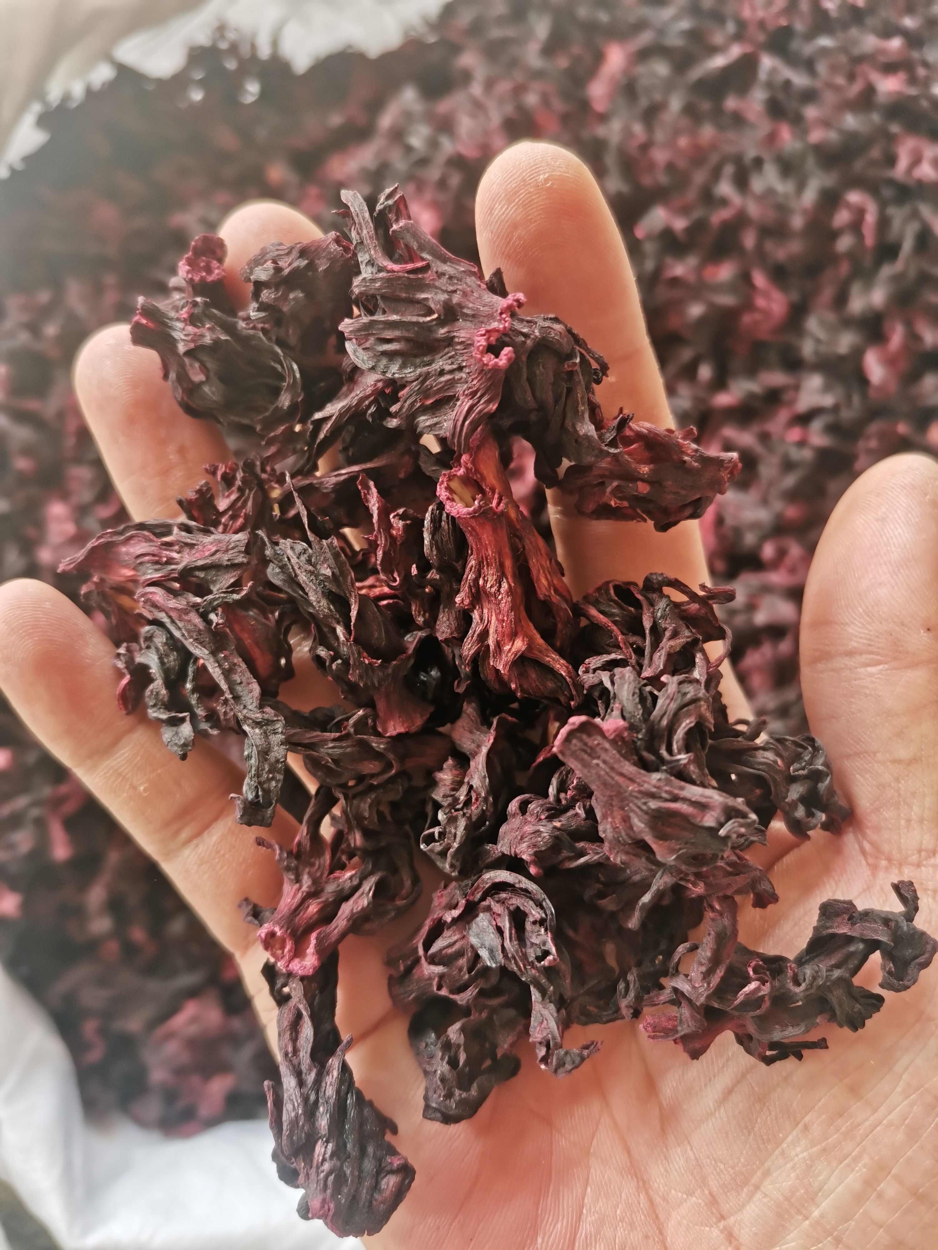 洛神花 玫瑰茄 水洗洛神花【假一赔十】