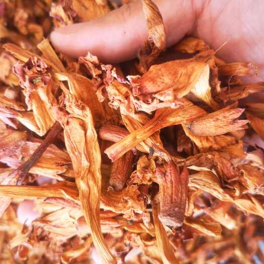 亳州凌霄花  无硫凌霄花【实图照片假一赔十】