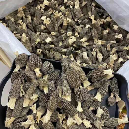 亳州羊肚菌干货500g头茬新货特产羊肚菇非野生菌菇煲汤材料