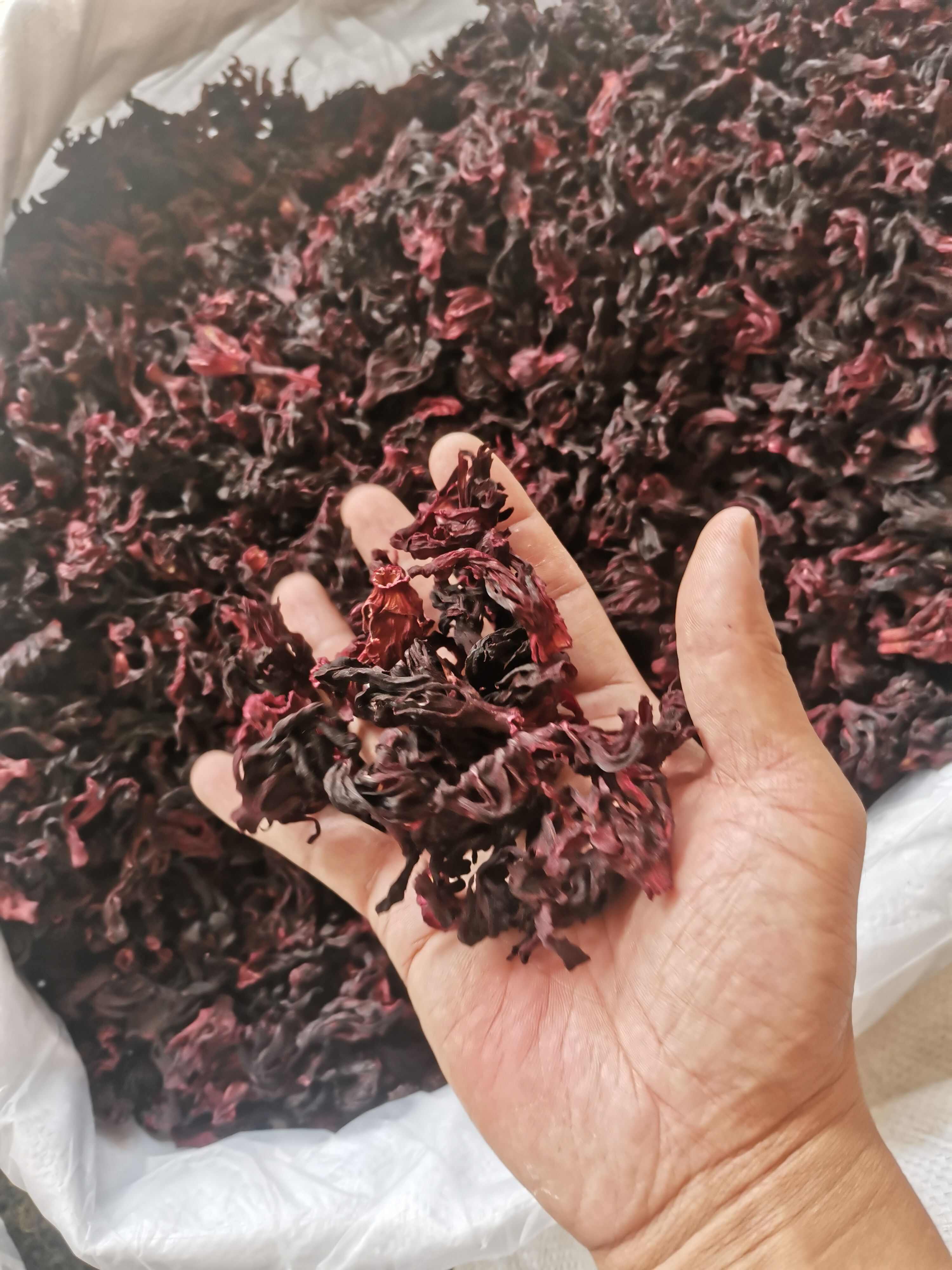 洛神花 玫瑰茄 水洗洛神花【假一赔十】