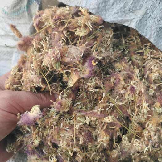 临沂合欢花（芙蓉花）山东临沂产地直销！当年新货，颜色鲜黄！