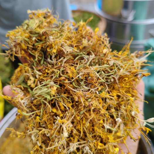 金银花，无硫，颜色漂亮，花香扑鼻
