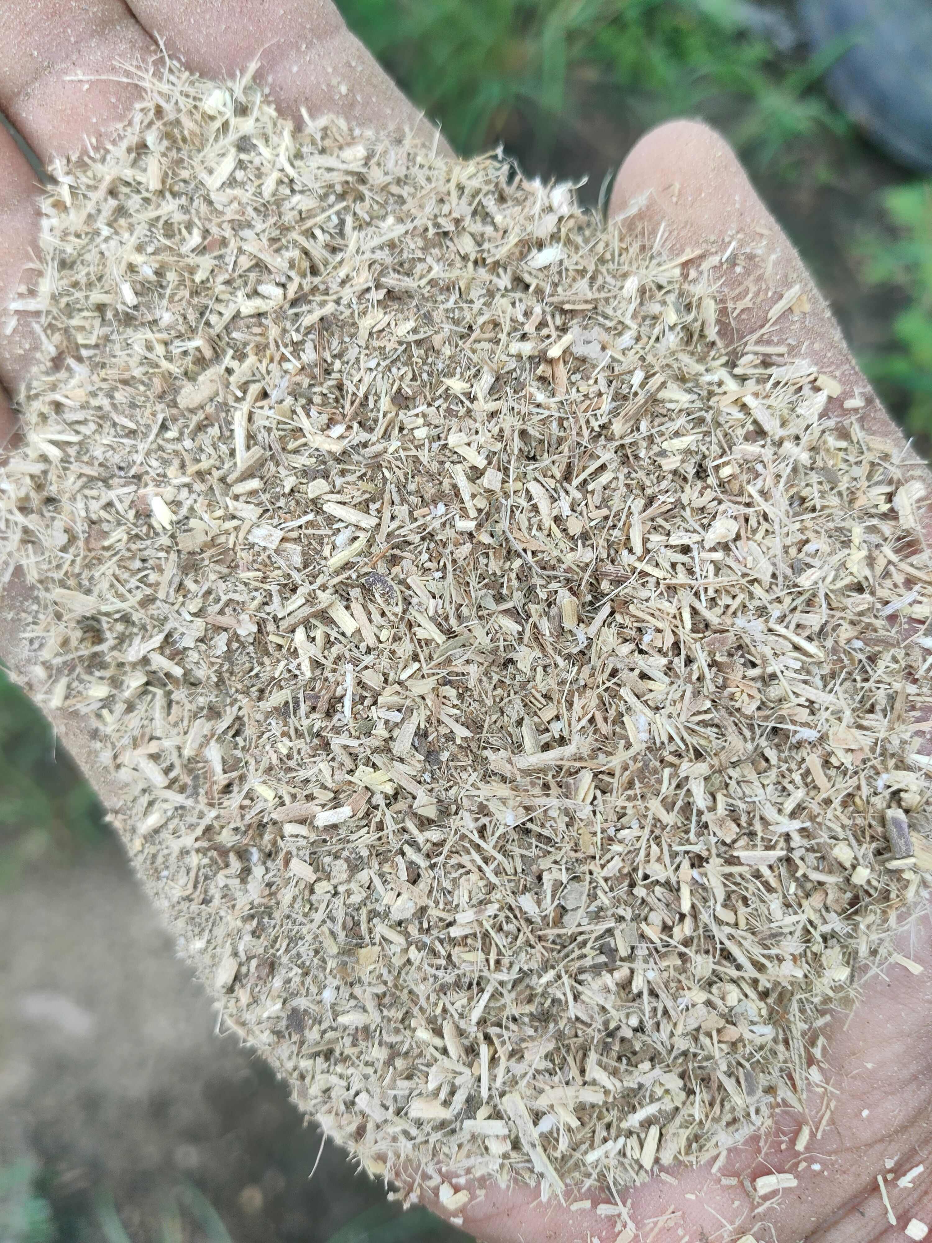 花生秧 马牛羊草料
