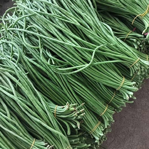 洋縣鮮豇豆