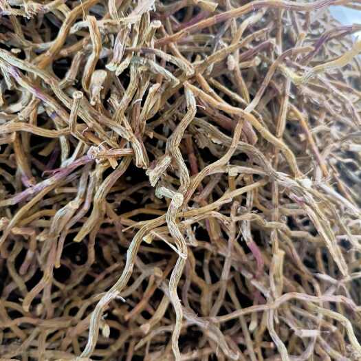 芒市铁皮石斛打粉条，