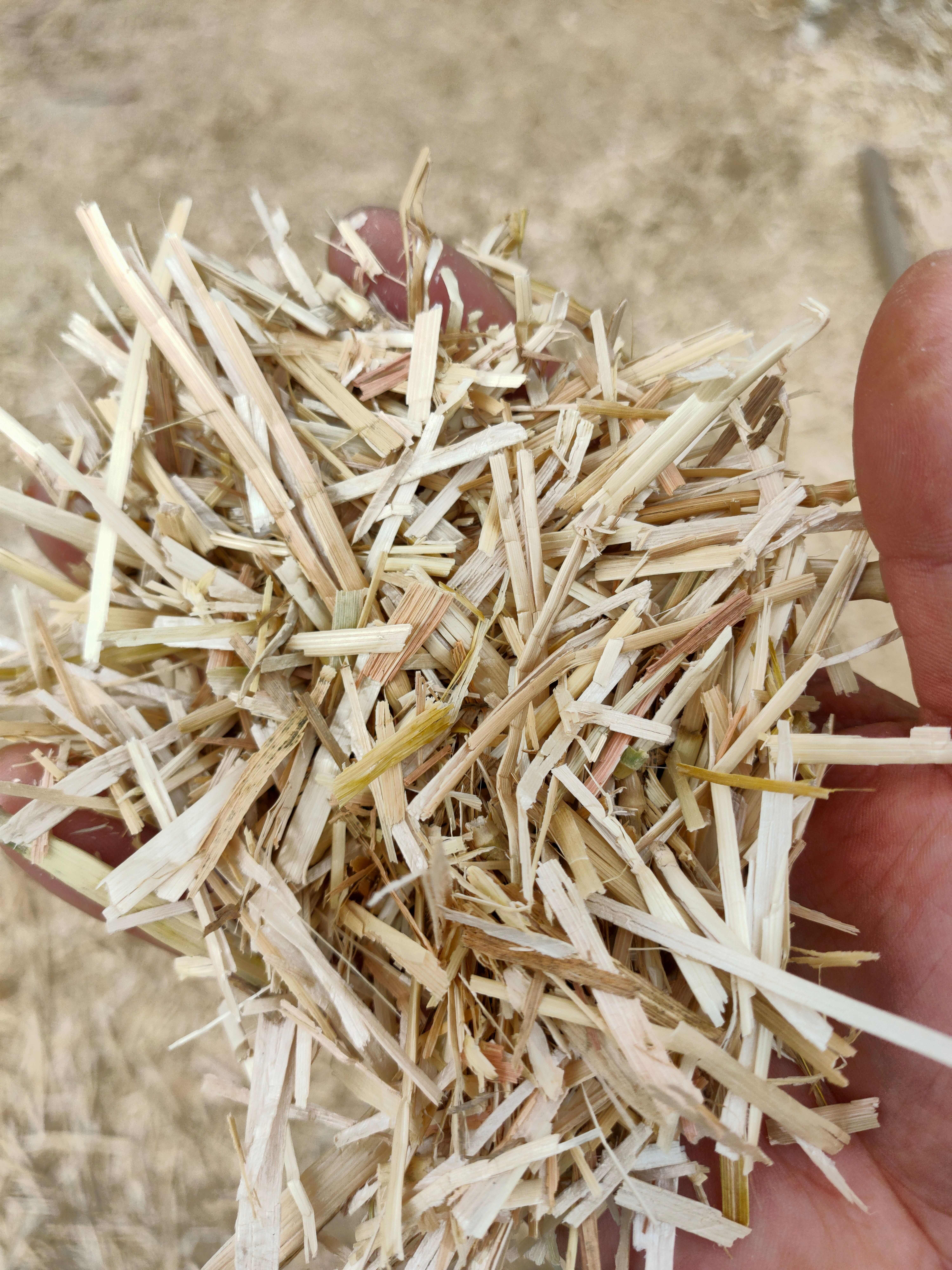 花生秧 马牛羊草料