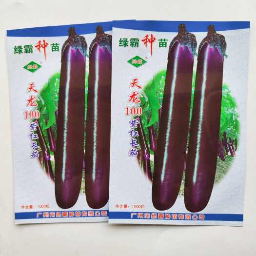 沭阳县天龙100紫红长茄子种子紫红长茄线茄农家大田易种四季蔬菜种籽