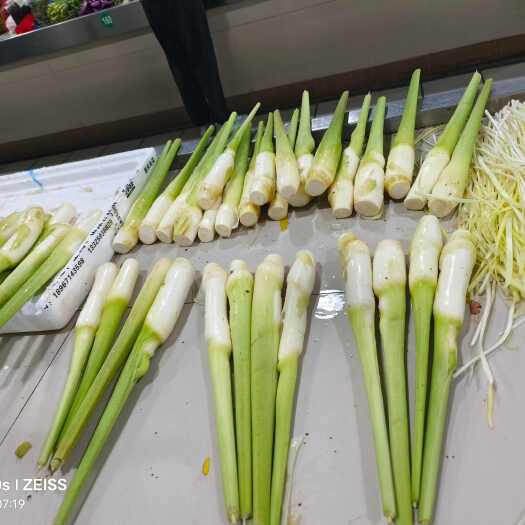 平湖市美人姣大量上市，货源充足