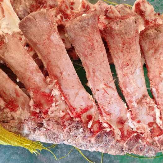 大厂县牛脊骨（不带肉）