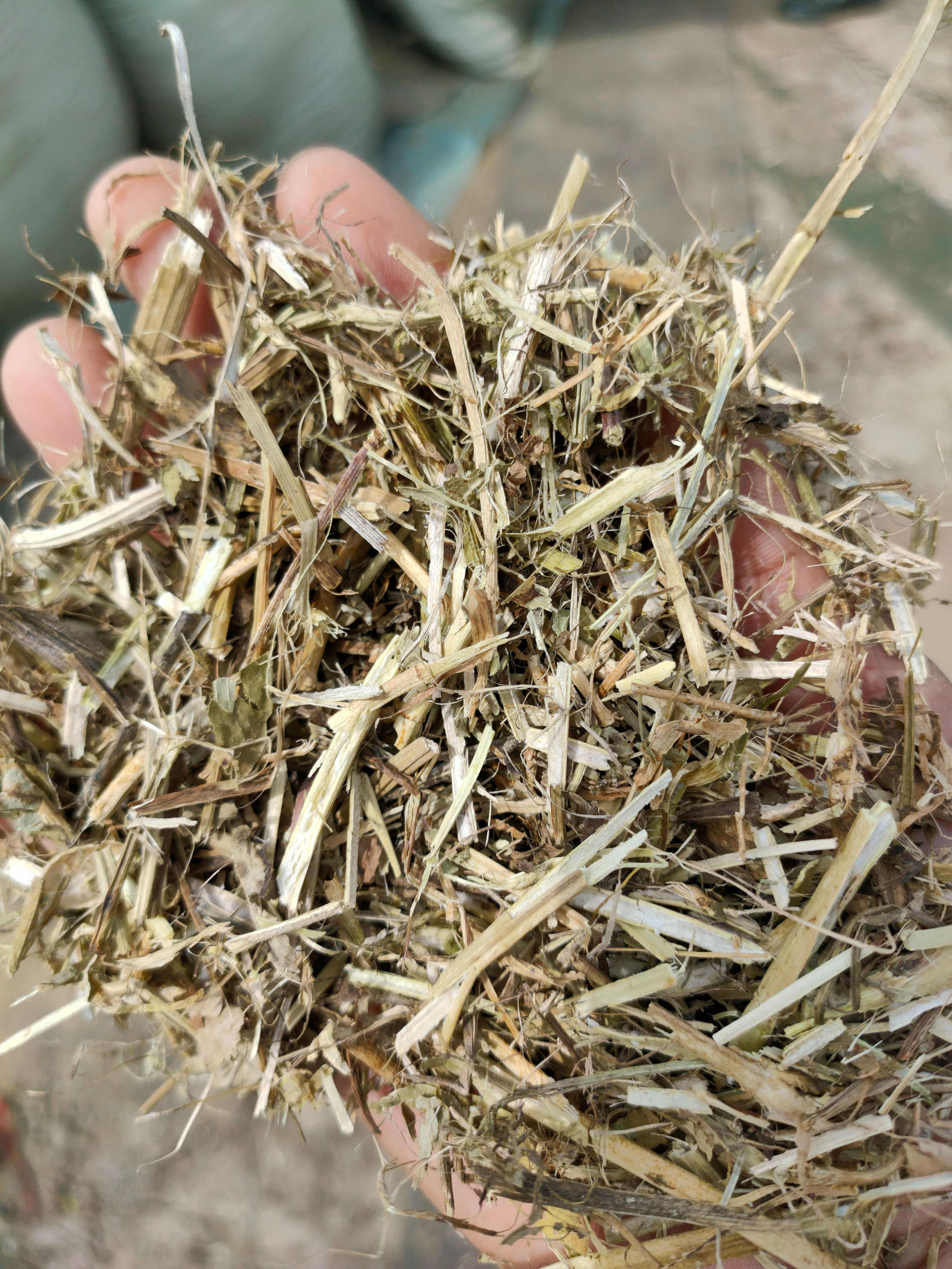 花生秧 马牛羊草料