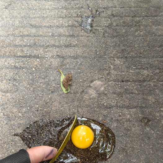 厦门土土