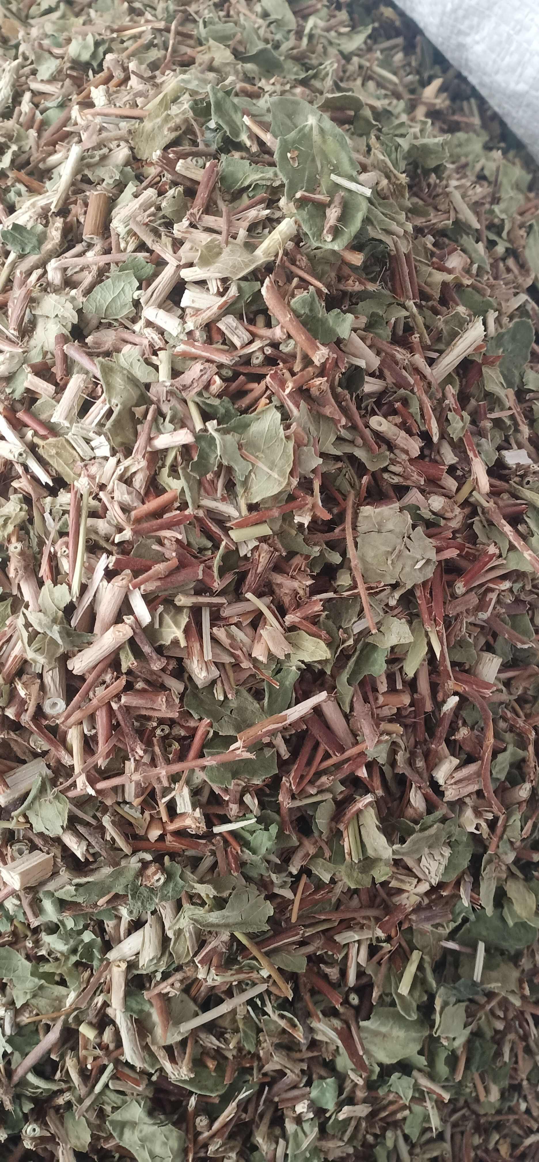 新货忍冬藤一手货源量大忧惠
